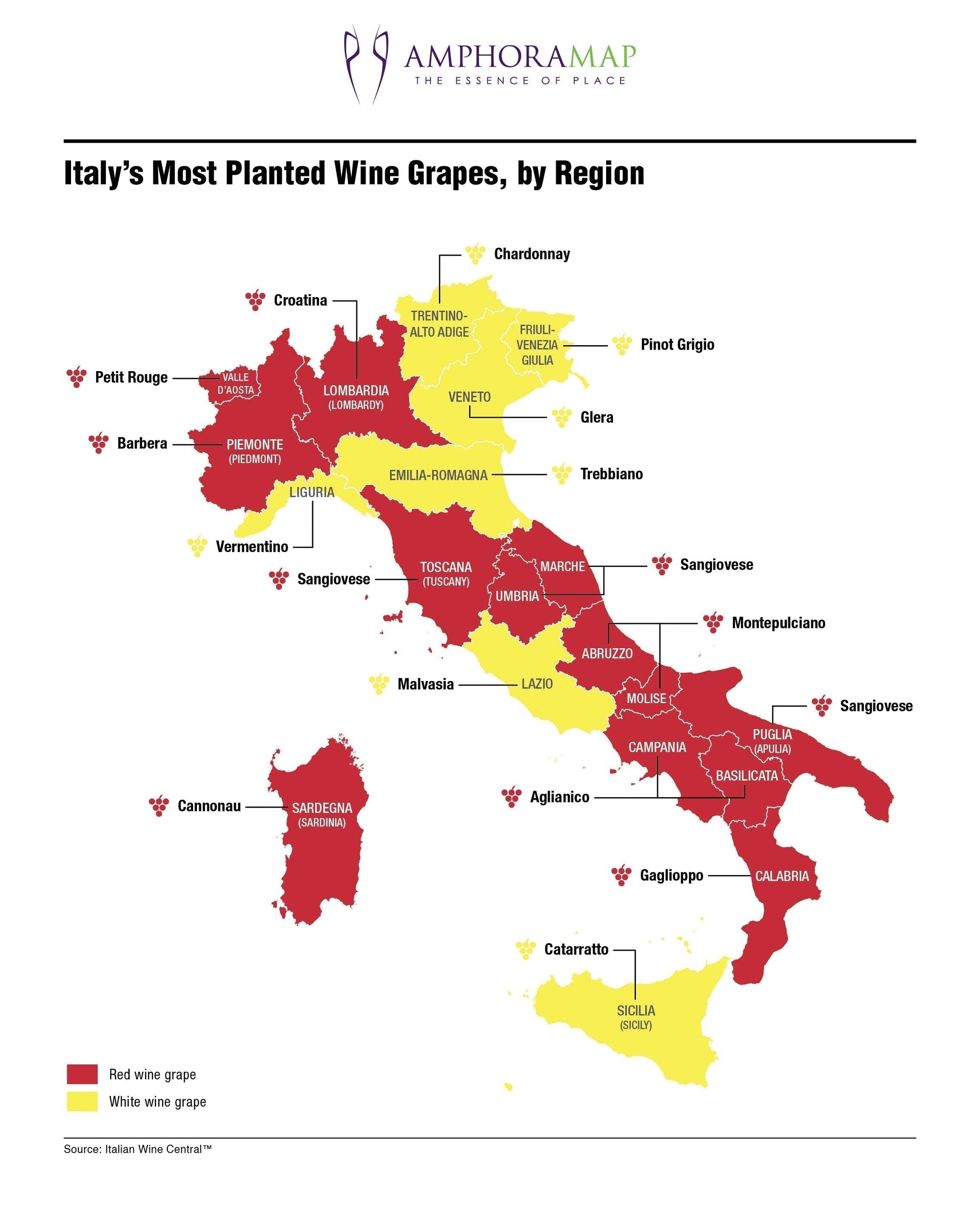 Italian Wine Grapes